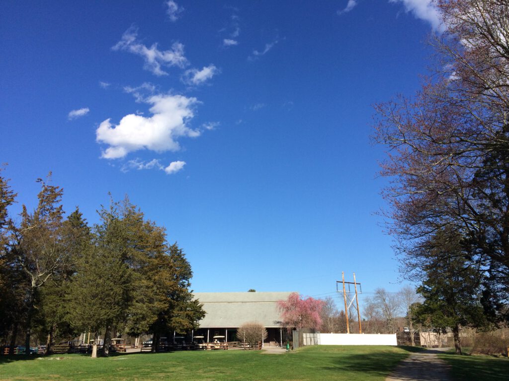 Cedar Hill green